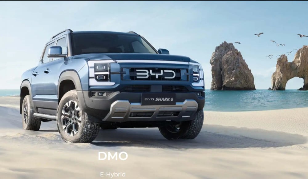 Punchy Shark added to BYD range