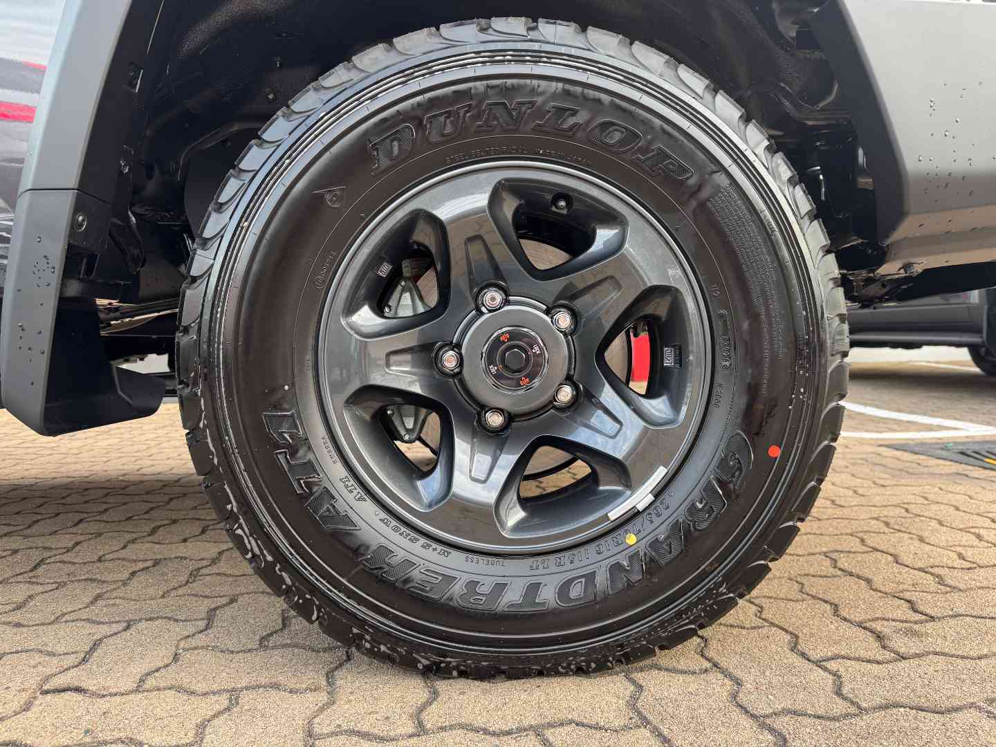 Photo 12 of 12