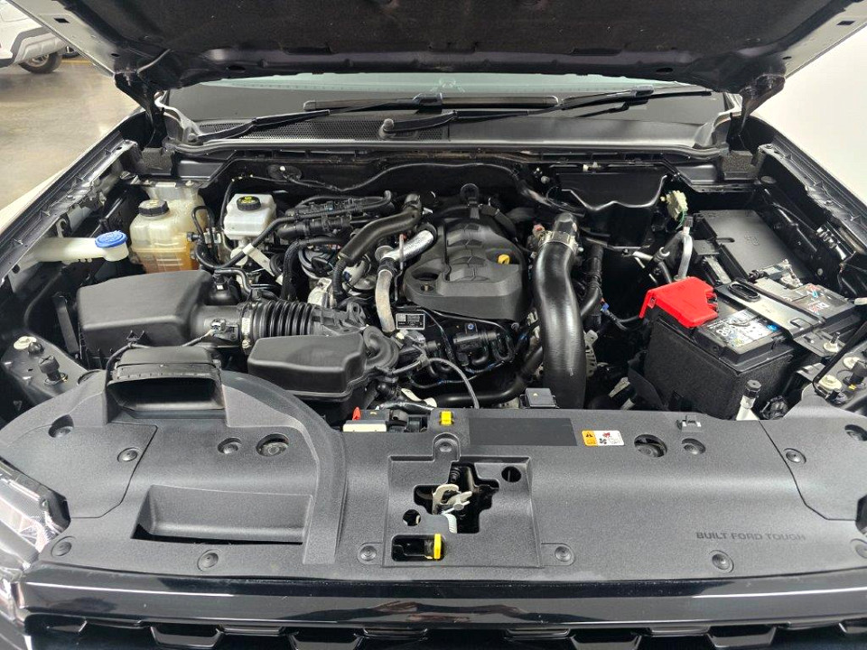 Photo 20 of 20