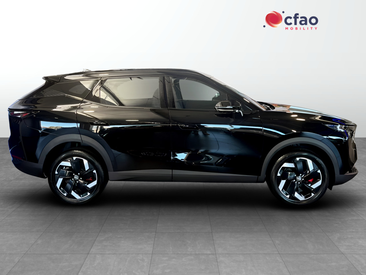 Photo 3 of 21