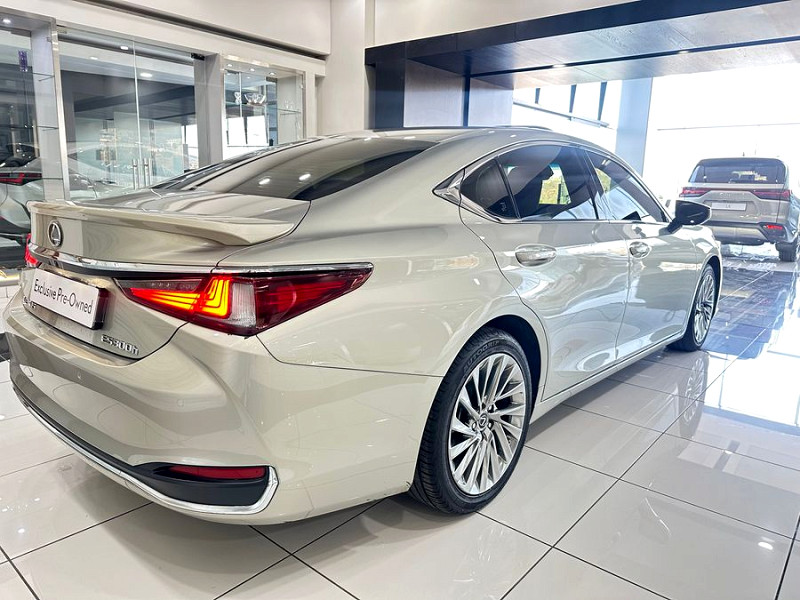 Photo 7 of 12