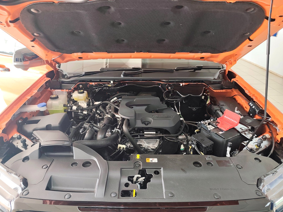Photo 28 of 28