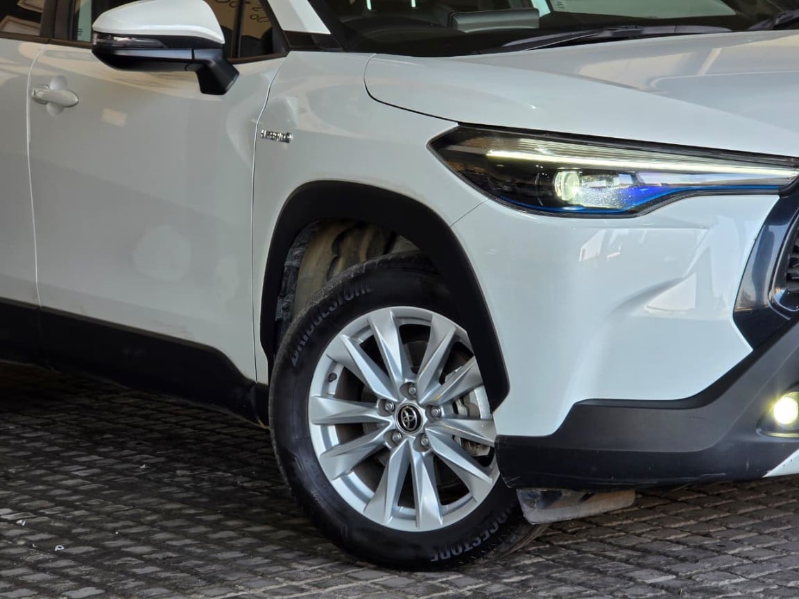 Photo 31 of 31