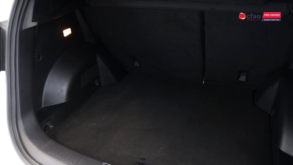 Photo 20 of 20