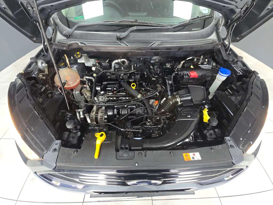 Photo 6 of 10