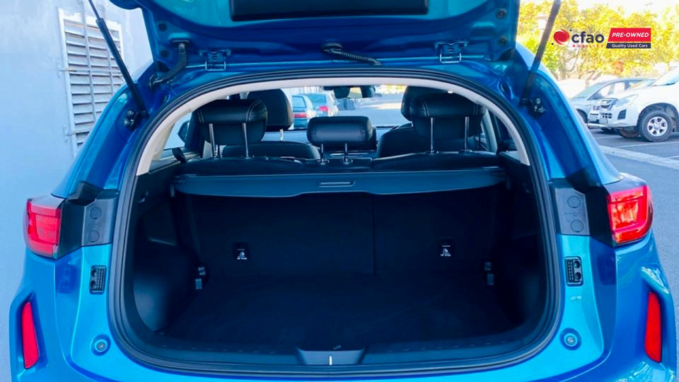 Photo 13 of 13