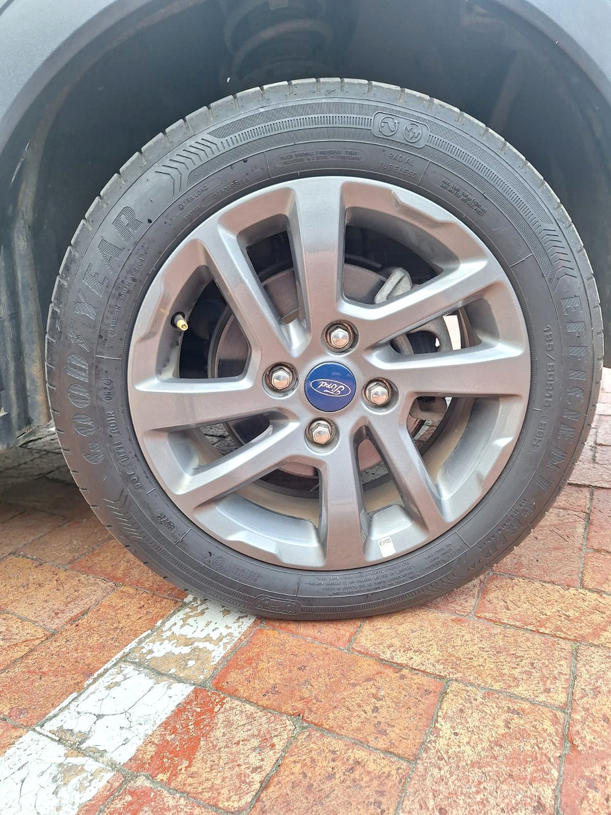 Photo 19 of 19