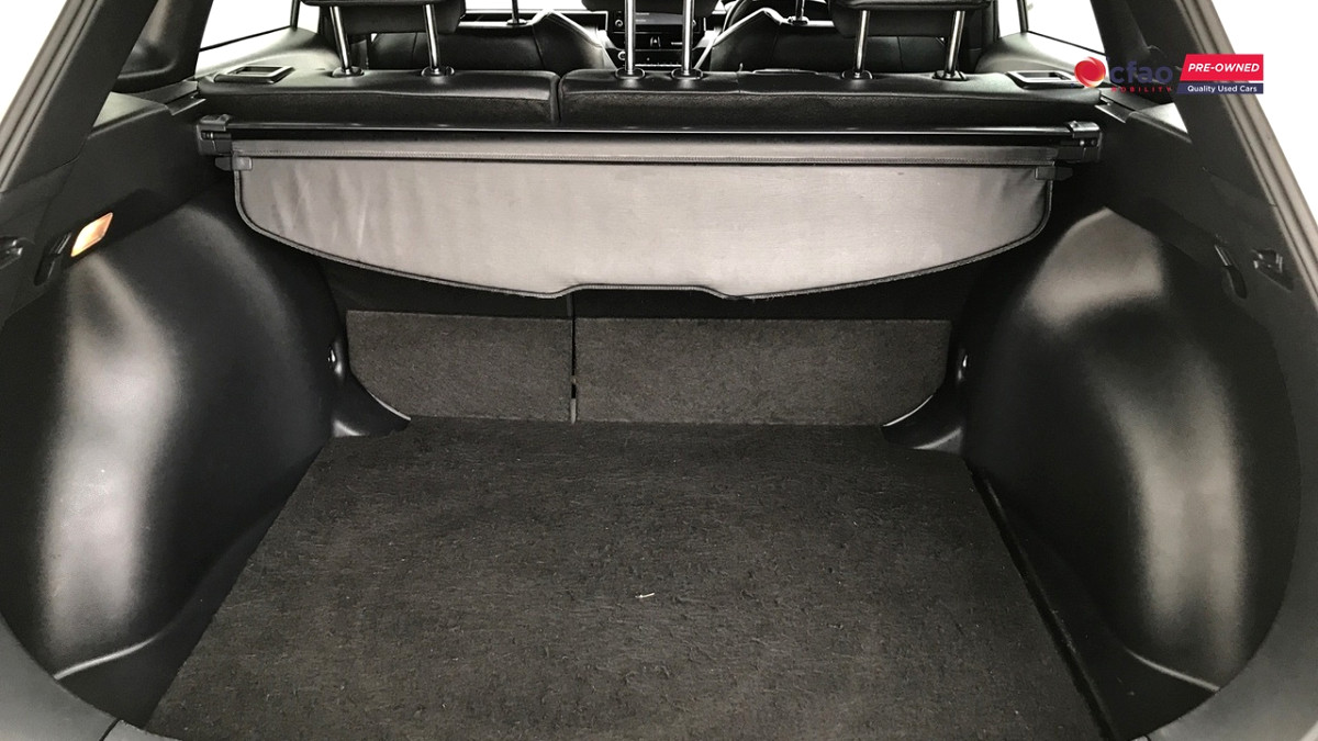 Photo 20 of 20