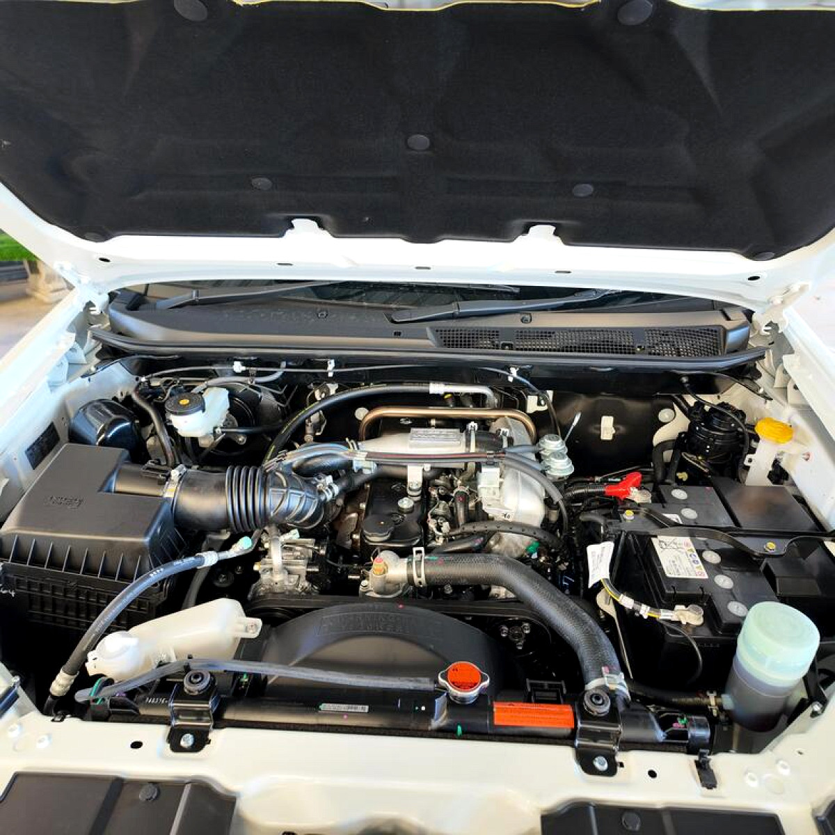 Photo 20 of 20