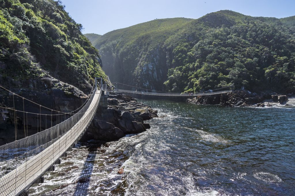 View along the Garden Route