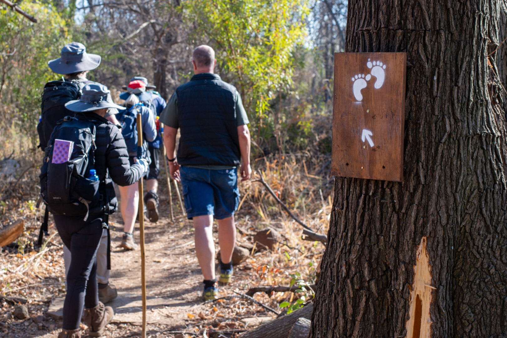 Hiking trail