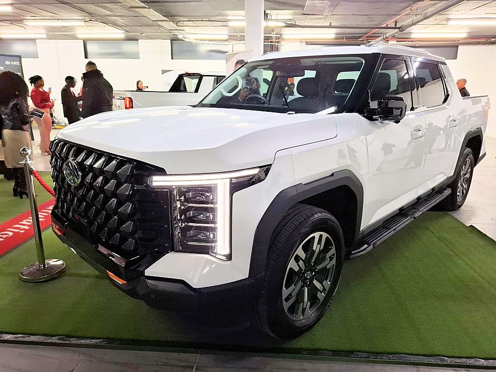 The new LDV Terron