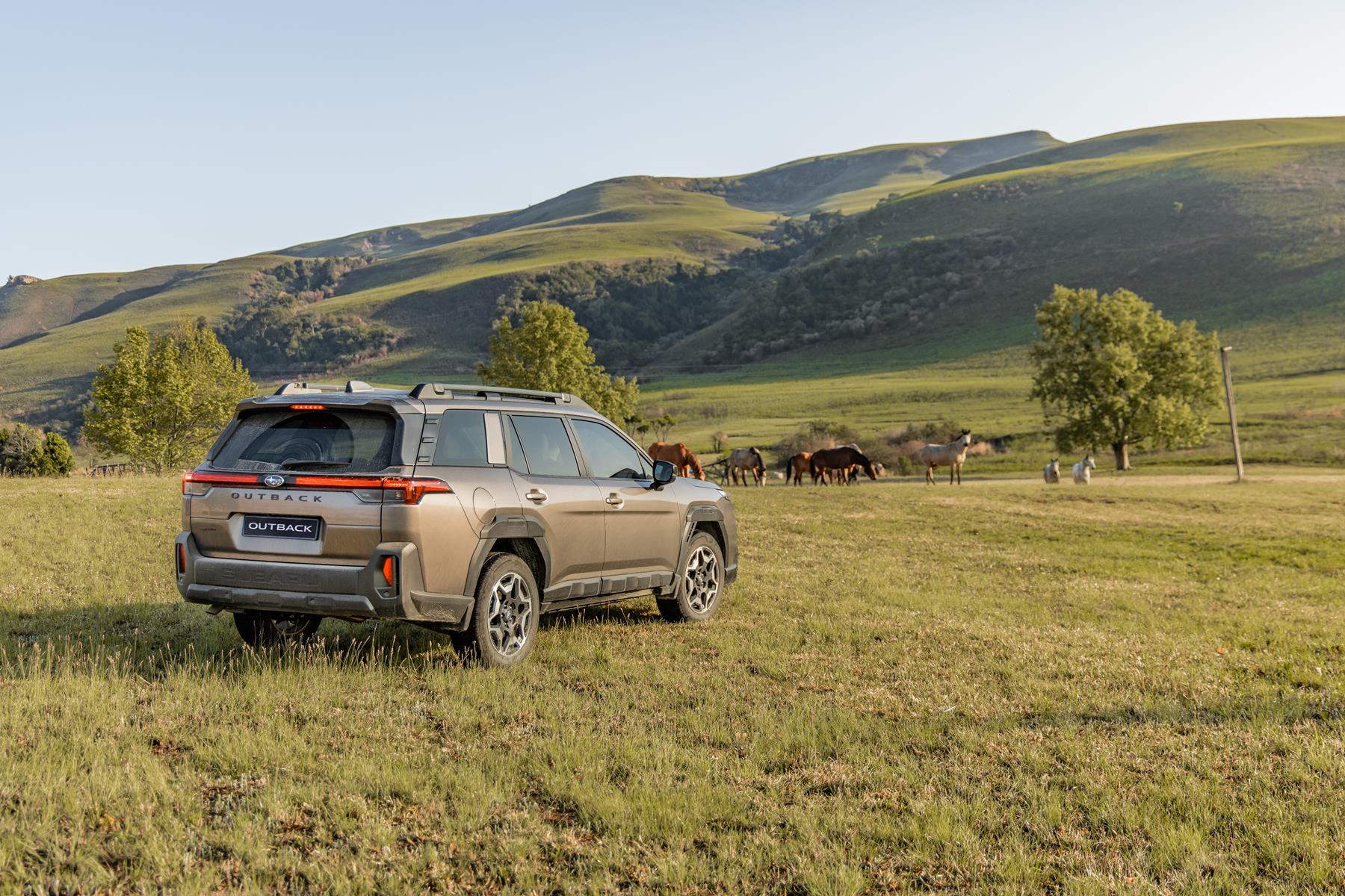 The seventh generation Subaru Outback is on its way