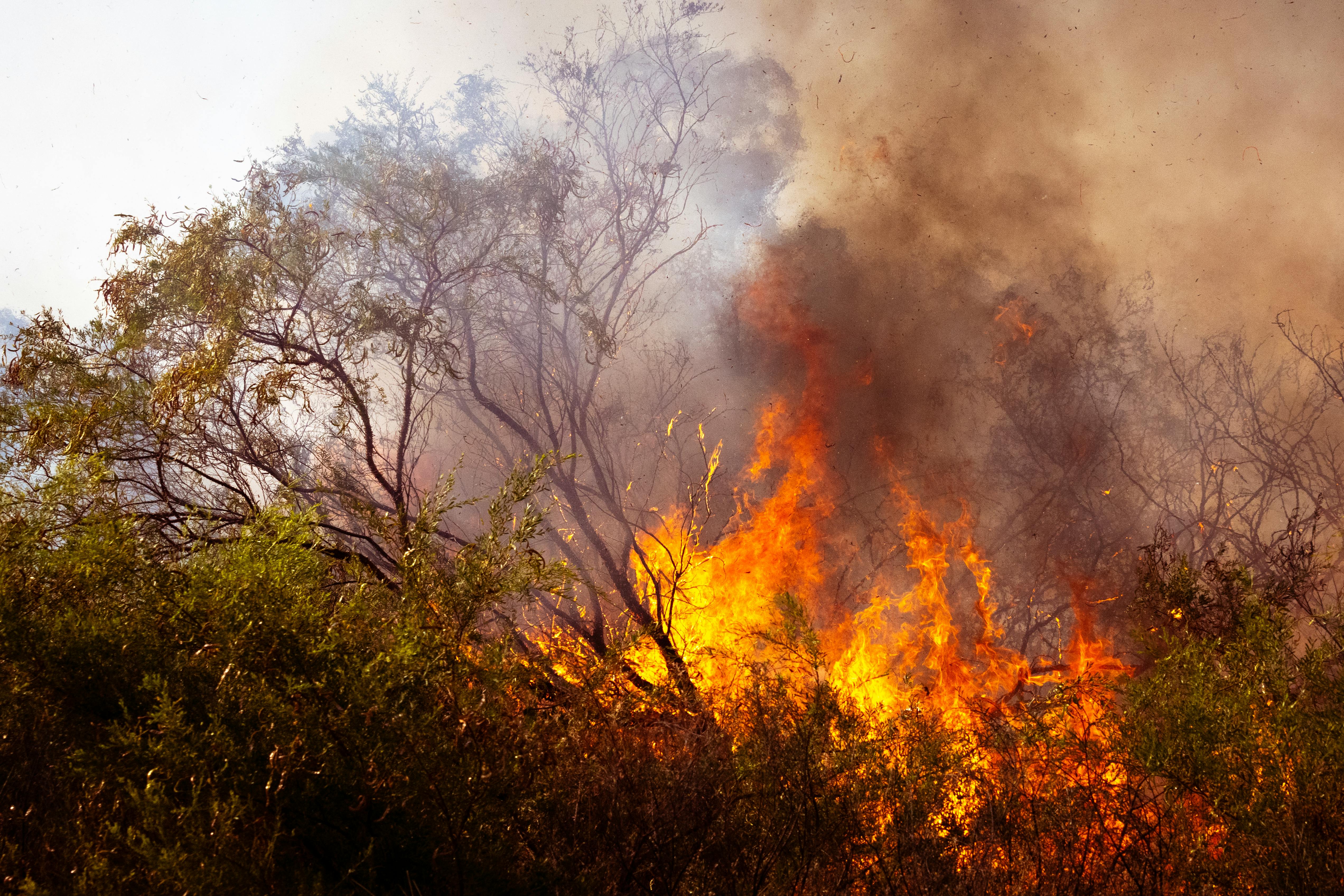 Veld fires pose potential danger for motorists