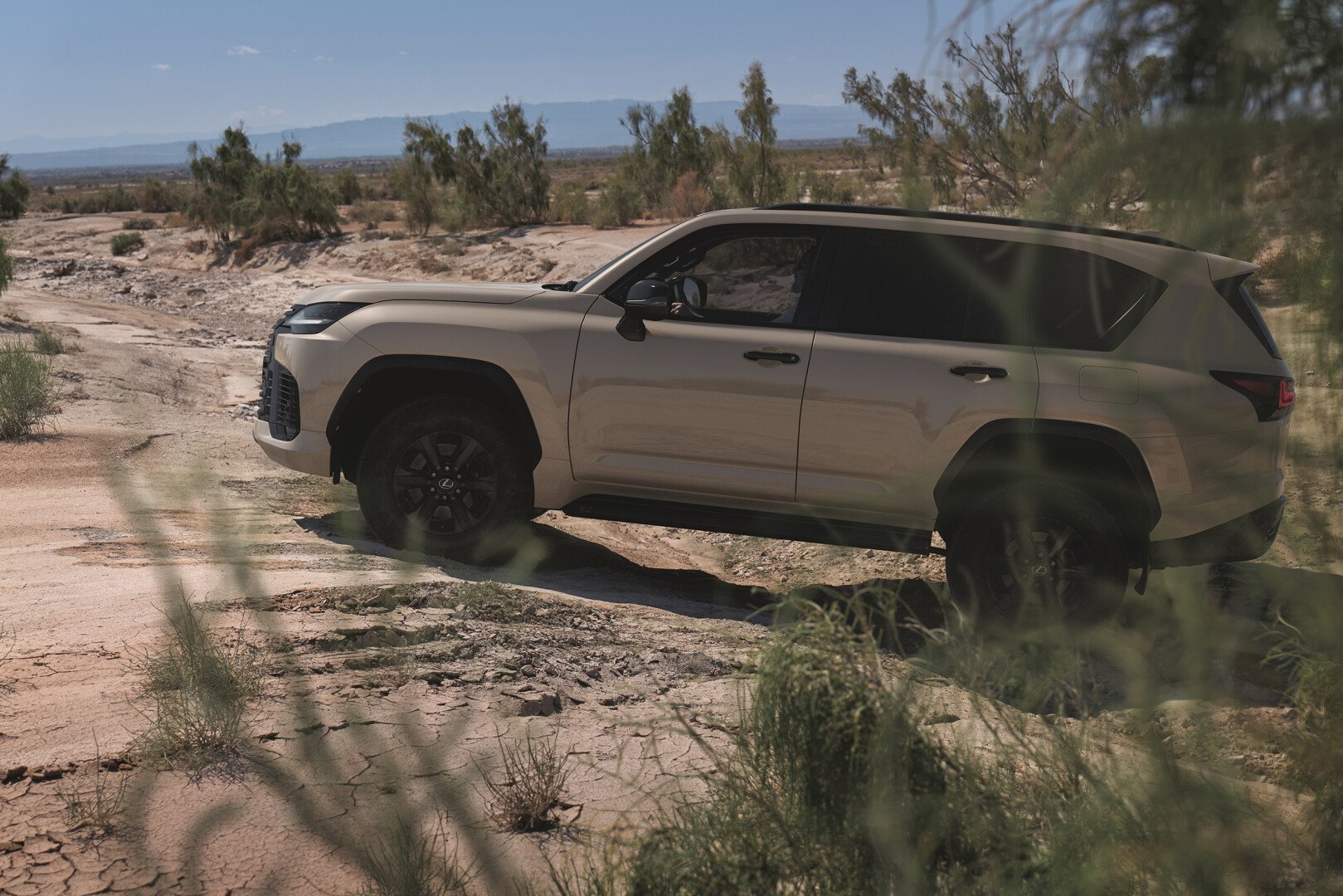 Lexus 700h in the bush